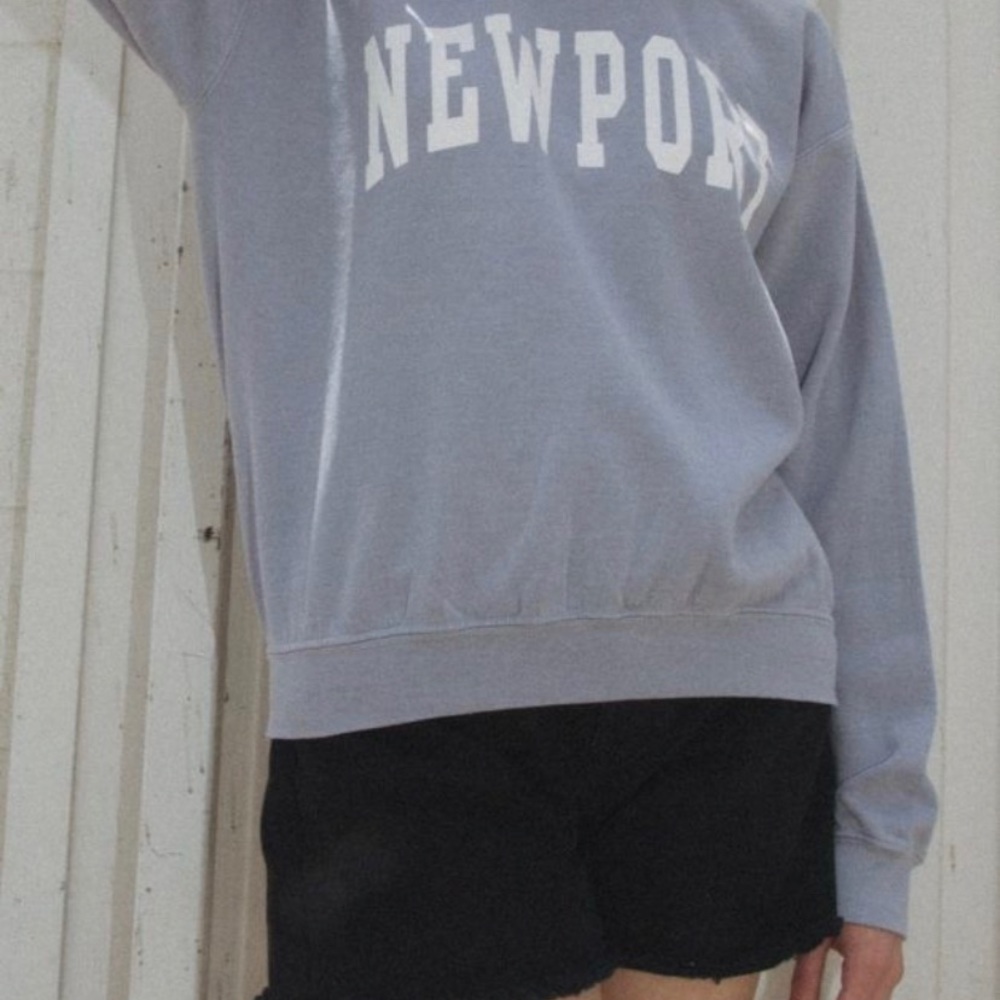 brandy melville newport crew neck